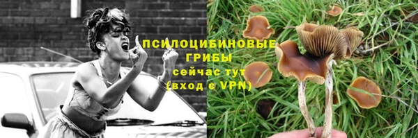 прущие крисы Алексин