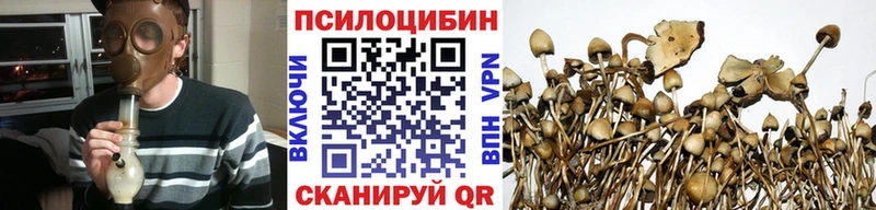 Галлюциногенные грибы Psilocybine cubensis  купить наркоту  Палласовка 